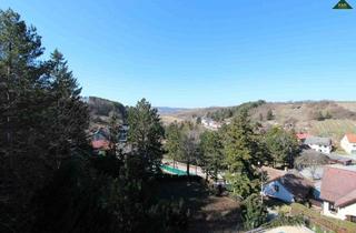 Mehrfamilienhaus kaufen in 2123 Kronberg, WEITBLICK- HAUS MIT 5 WEINKELLERN UND UNVERBAUBAREM AUSBLICK