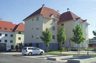 Genossenschaftswohnung in 7361 Lutzmannsburg, Geförderte Wohnung in Mietkauf