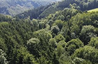 Gewerbeimmobilie kaufen in 3691 Nöchling, Wald in adäquater Größe unweit von Nöchling im südlichen Waldviertel!