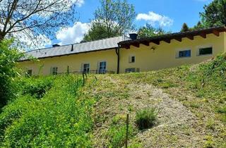 Einfamilienhaus kaufen in 3571 Thunau am Kamp, WOHNEN IM NATURPARADIES AM WALDRAND MIT MÖGLICHKEIT AUF ZWEI WOHNEINHEITEN - BESTE FERIEN- ODER ZWEITWOHNSITZEIGNUNG MIT KLEINEM BACH, OBSTBÄUMEN & WALD - NICHT VOM HOCHWASSER BETROFFEN