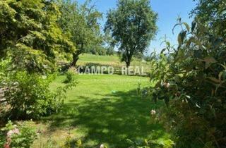 Agrarfläche kaufen in 4842 Zell am Pettenfirst, CAMPO-LANDWIRTSCHAFT: Pferdehof mit ca. 18 ha - Wohnhaus, Stall und Lagerhalle - Hausruckwald OÖ