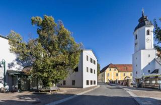 Wohnung mieten in Dorfviertel, 8190 Birkfeld, Für betreubares Wohnen geignete 2- Zimmer Mietwohnung in der Nähe von Birkfeld