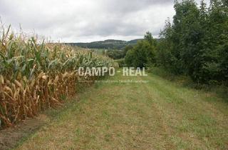 Agrarfläche kaufen in 3034 Maria-Anzbach, CAMPO LAND- U. FORSTWIRTSCHAFT: Hochwasserfreier Bauernhof - Pferdefreunde aufgepasst - 12,7 ha Acker und 10 ha Wald samt Bauernhaus