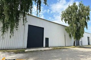 Büro zu mieten in Industriezeile 14, 2100 Leobendorf, Modernste Halle mit 890 m² in Leobendorf - Ideal für Lagerzwecke!