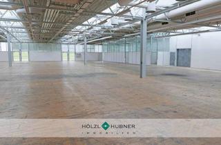 Büro zu mieten in 5541 Altenmarkt im Pongau, Großzügige Hallen in Altenmarkt