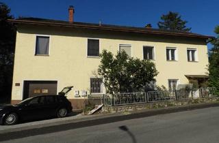 Haus kaufen in Wr.neustadt, 2625 Schwarzau am Steinfeld, Dreifamilienhaus - attraktives Investment mit Garten