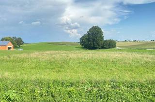 Grundstück zu kaufen in 4751 Dorf, Letzter Baugrund in sonniger Siedlungslage