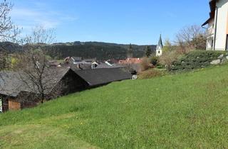 Grundstück zu kaufen in 4272 Weitersfelden, Sehr sonniger Baugrund in Siedlungslage