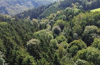 Grundstück zu kaufen in 3691 Nöchling, Wald in adäquater Größe unweit von Nöchling im südlichen Waldviertel!