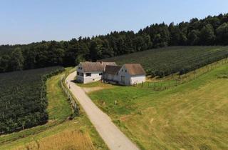 Lager kaufen in 8200 Ungerdorf, Arrondierte 6 Hektar Landwirtschaft mit Bauernhaus und Lager