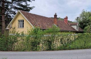 Bauernhäuser zu kaufen in 2860 Kirchschlag in der Buckligen Welt, Renovierungsbedürftiges Bauernhaus in absoluter Ruhelage und Garten in Kirchschlag