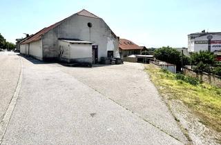 Lager kaufen in 7100 Neusiedl am See, Großes Baugrundstück mit Altbestand in Neusiedl am See * Seeblick