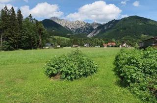 Grundstück zu kaufen in 8911 Admont, Grundstück in ruhiger und sonniger Lage in Hall bei Admont