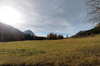 Grundstück zu kaufen in 8950 Stainach, Baugrund in sonniger, harmonischer Hanglage in Wörschachwald