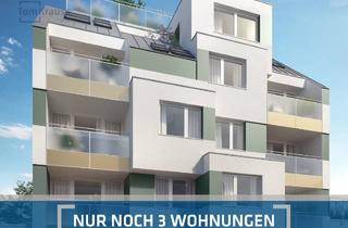 Penthouse kaufen in Wenhartgasse, 1210 Wien, DACHTERRASSENTRAUM - PENTHOUSE IN WASSERNÄHE