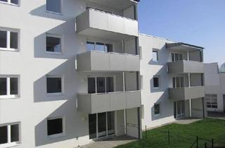 Wohnung mieten in Liese Prokop-Siedlung 7/4, 3361 Aschbach-Markt, Aschbach-Markt | gefördert 3 Zimmer Wohnung | Miete mit Kaufoption | Balkon.