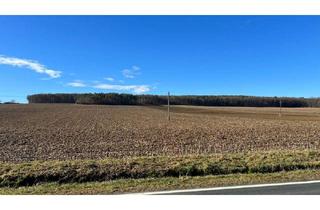 Gewerbeimmobilie kaufen in 7400 Oberwart, PROVISIONSFREI f. d. Käufer! GROSSE landwirtschaftliche Flächen (ca. 27 ha!) und ein Waldgrundstück! BEZIRK OBERWART!