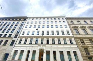 Büro zu mieten in Pestalozzigasse, 1010 Wien, Büro in Wien 1010 mit Blick auf die Karlskirche