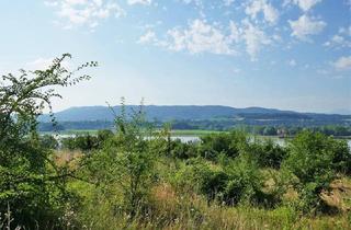 Grundstück zu kaufen in 3652 Leiben, Baugrund an der Donau bei Melk mit Traumausblick bis zum Ötscher