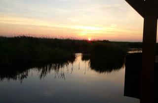 Haus kaufen in Seebad Breitenbrunn "Neuer Strand", 7091 Breitenbrunn am Neusiedler See, TINY-HAUS AM WASSER: 3-Zi Mobilheim am neuesten Freizeitareal des Neusiedler See's