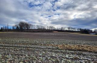 Gewerbeimmobilie kaufen in 4072 Alkoven, Landwirtschaftlicher Nutzgrund in Alkoven