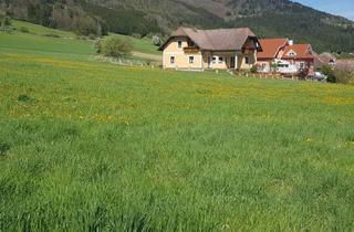 Grundstück zu kaufen in 3663 Laimbach am Ostrong, EIN TRAUM WIRD REALITÄT: AUSSERGEWÖHNLICHES BAUGRUNDSTÜCK IN LAIMBACH AM OSTRONG MIT HERRLICHEM AUS- UND FERNBLICK IN TOLLER, ERHÖHTER WOHNLAGE