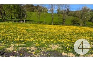 Grundstück zu kaufen in 3263 Randegg, Apfelblüte im Mostviertel - Baugründe in wunderschöner, sonniger Lage!