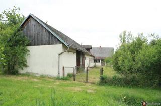 Bauernhäuser zu kaufen in 7561 Heiligenkreuz im Lafnitztal, Nähe Jennersdorf: Südburgenländisches Bauernhaus mit Arkadengang