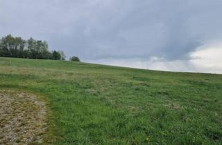 Grundstück zu kaufen in 3610 Maigen, AUSSERGEWÖHNLICHES BAUGRUNDSTÜCK IN MAIGEN MIT HERRLICHEM AUS- UND FERNBLICK IN TOLLER, RUHIGER, ERHÖHTER WOHNLAGE