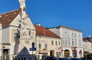 Loft mieten in Stadtplatz 15 Hof Tor 3, 3400 Klosterneuburg, 167m2 helle 2 Zimmer-Loft-Wohnung mit Fernblick in zentraler Lage