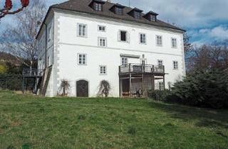 Haus kaufen in 3652 Leiben, Historisches Herrenhaus mit Nebengebäuden in schönster Alleinlage in NÖ