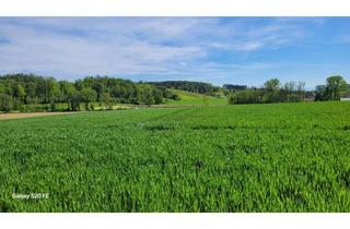 Gewerbeimmobilie kaufen in 4490 Sankt Florian, Interessante landwirtschaftliche Grundstücke
