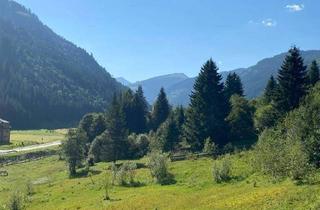 Grundstück zu kaufen in 8953 Donnersbachwald, Traumhaftes Bauland neben dem Skigebiet Riesneralm in Donnersbachwald!