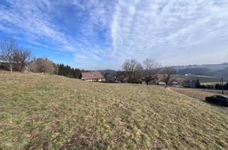 Grundstück zu kaufen in Ewitsch, 8461 Ehrenhausen, Baugrundstück an der Weinstraße zu verkaufen - unverbaubarer Ausblick!