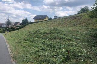 Grundstück zu kaufen in 8081 Empersdorf, Baugrund und Waldfläche in ruhiger Lage, nahe Graz