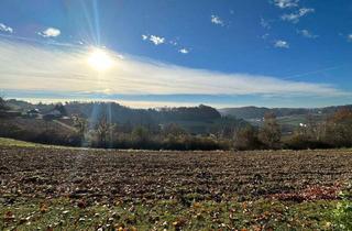 Grundstück zu kaufen in 8342 Poppendorf, Idyllisches Grundstück mit Berg- und Fernblick in der Südoststeiermark!!! 2 BAUGRUNDSTÜCKE ZU EINEM PREIS!!!