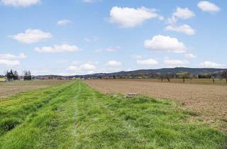 Grundstück zu kaufen in 8565 Hallersdorf, Ebenes Landwirtschaftliches Grundstück. - Zwischen Lieboch und Voitsberg.