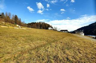 Grundstück zu kaufen in 8843 Sankt Peter am Kammersberg, Leistbarer Wohn-Baugrund mit Fernblick. - Ortszentrum mit Infrastruktur fußläufig. - Ruhige Wohnlage.