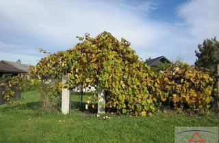 Grundstück zu kaufen in 7433 Mariasdorf, Grundstück mit eigener Zufahrt nähe Bad Tatzmannsdorf!