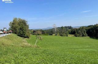 Grundstück zu kaufen in 8562 Mooskirchen, Großes Grundstück auch für Bauträger in sonniger Lage mit interessanten Möglichkeiten in der Weststeiermark