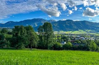 Grundstück zu kaufen in 4560 Kirchdorf an der Krems, Land & Gut: Kleinod in End-, Ruhe- & Südhang-Lage im Kremstal!