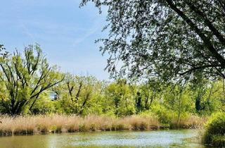 Grundstück zu kaufen in Am Mühlwasser, 1220 Wien, Wunderschöner Eigengrund - direkt am Mühlwasser - ganzjährig wohnen - 1220 Wien