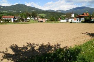 Grundstück zu kaufen in 9400 Wolfsberg, Top - Baugrundstücke am Haydnweg in Wolfsberg