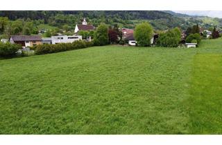 Grundstück zu kaufen in 6719 Bludesch, Bludesch: Schönes Grundstück zu verkaufen