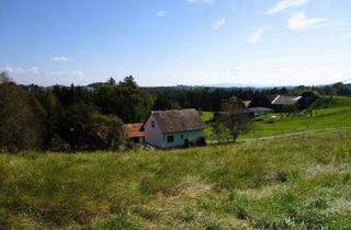 Grundstück zu kaufen in 8503 Sankt Josef (Weststeiermark), Lannach | Baugrund am Tor zum Schilcherland 886/1004