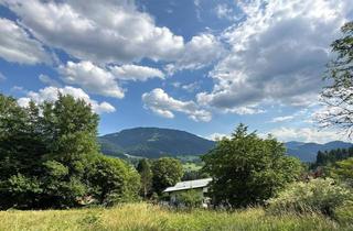 Grundstück zu kaufen in 6351 Scheffau am Wilden Kaiser, Baugrundstück in sonniger Hanglage ( 05320 )