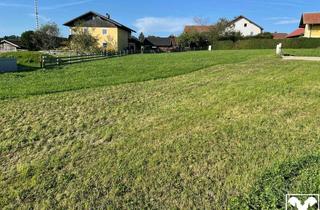Grundstück zu kaufen in 5113 Sankt Georgen bei Salzburg, Traumhaftes sonniges Grundstück