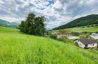 Grundstück zu kaufen in 3622 Mühldorf, Baugrund Nähe Spitz an der Donau