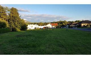 Grundstück zu kaufen in 2405 Bad Deutsch-Altenburg, schönes Grundstück in Bad Deutsch Altenburg