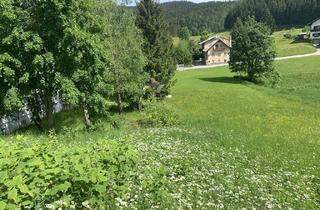 Grundstück zu kaufen in 3295 Lackenhof, Idyllisches Grundstück in Lackenhof